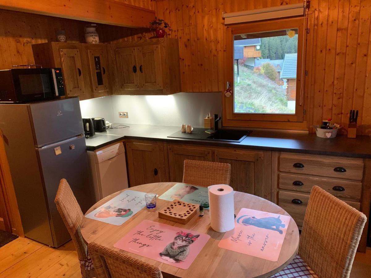 Chalet Proche Morzine Et Lac Leman Wifi Offert Le Biot Εξωτερικό φωτογραφία